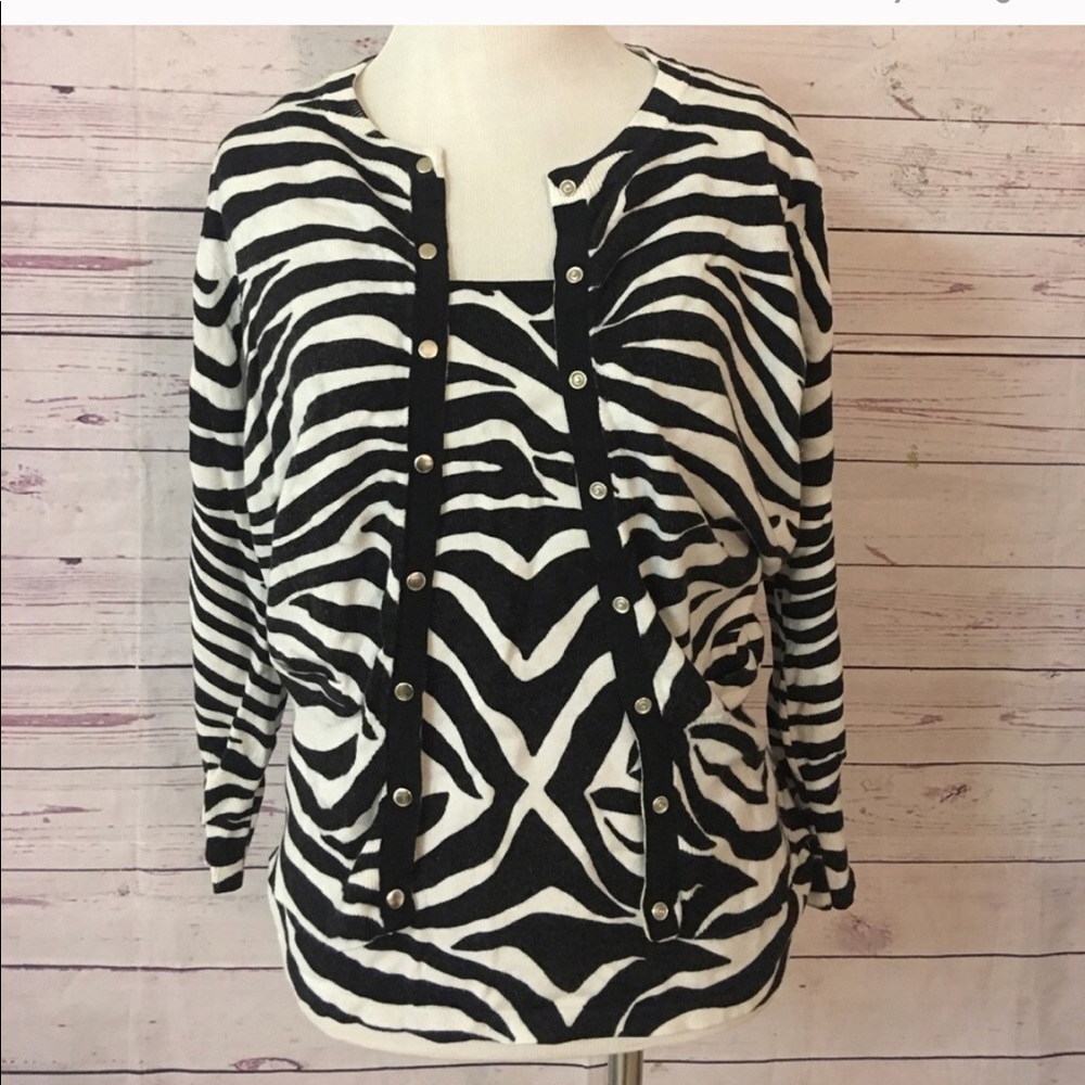 Boston Proper Sweater Twin set